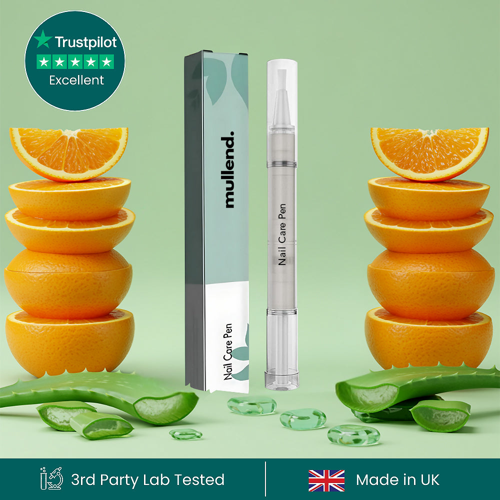 Portable solar chargers against a scenic mountainous backdrop.