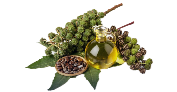 Hydrogenated Castor Oil